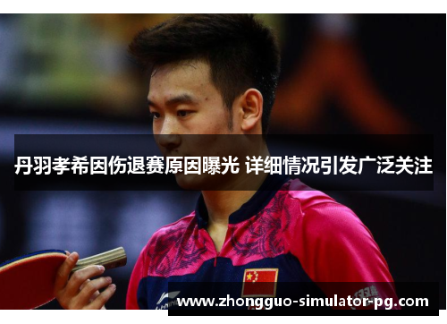 丹羽孝希因伤退赛原因曝光 详细情况引发广泛关注 丹羽孝希因伤退赛原因曝光 详细情况引发广泛关注