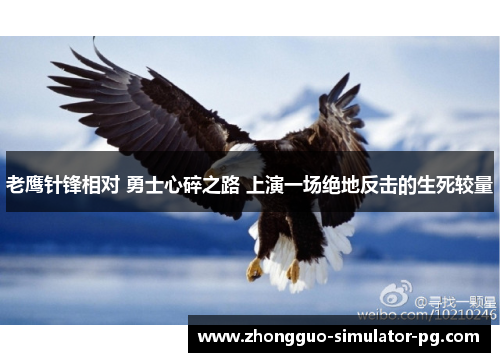 老鹰针锋相对 勇士心碎之路 上演一场绝地反击的生死较量 老鹰针锋相对 勇士心碎之路 上演一场绝地反击的生死较量