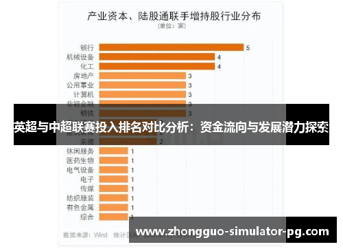 英超与中超联赛投入排名对比分析：资金流向与发展潜力探索