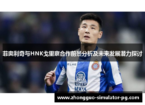 菲奥利奇与HNK戈里察合作前景分析及未来发展潜力探讨