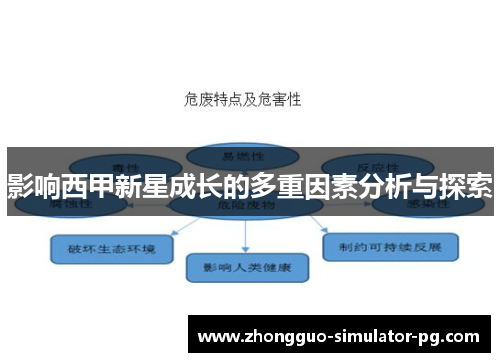 影响西甲新星成长的多重因素分析与探索