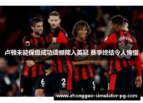 卢顿未能保级成功遗憾降入英冠 赛季终结令人惋惜