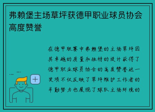 弗赖堡主场草坪获德甲职业球员协会高度赞誉