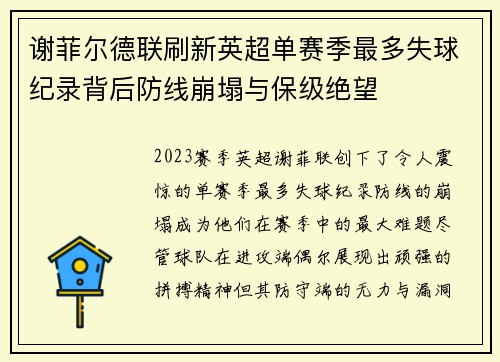 谢菲尔德联刷新英超单赛季最多失球纪录背后防线崩塌与保级绝望